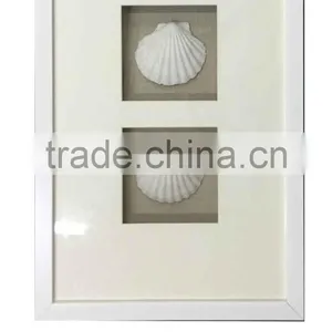 Shadow Box With White Seashell Wall Art thumbnail-1