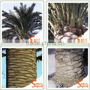 Top Selling Popular Outdoor Artificial Palm Tree For Sale thumbnail-4