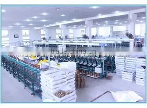 Hubei Bingdong Trading Co., Ltd. company overview - view 2 thumbnail