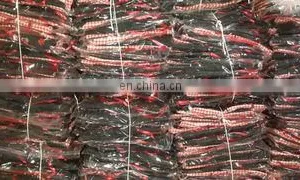 Bright Trachten Industries company overview - view 3 thumbnail