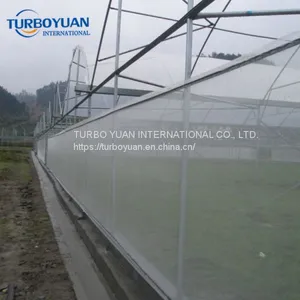 HDPE Anti Insect Mesh / Fiberglass Insect Screen in China thumbnail-3
