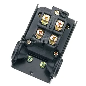LF10-W Water Pump Pressure Switch thumbnail-3