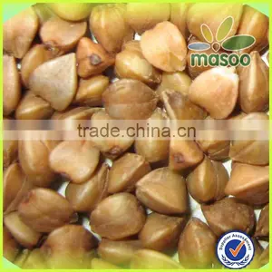 2014 Crop Certified Organic Roasted Buckwheat Quality Choice thumbnail-2
