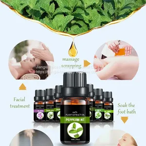 Natural Peppermint Oil Massage Essential Oil New Fresh Mosquito Repellent Refreshing Analgesic Skin Care thumbnail-3