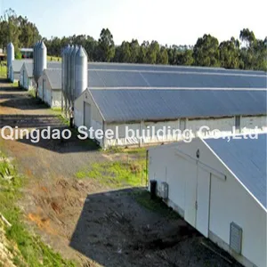 Modern Layout Design Steel Structure Layer Egg Chicken Cage Broiler Poultry Farm House thumbnail-3