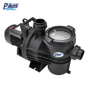 Wholesale Price PB-300 Pump for Swimming Pool 3HP Circulation Water Pump With Brass Motor thumbnail-2