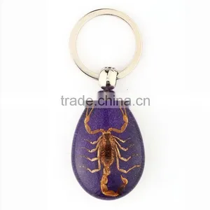 Real Insect Keychain With Scorpion thumbnail-1