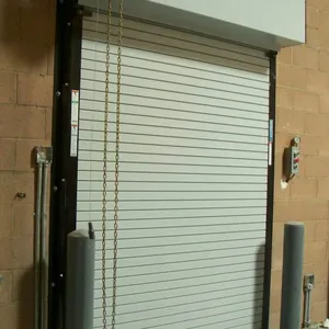 Robust Electric Roller Door thumbnail-2