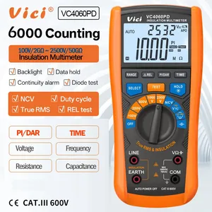 Vici VC4060PD 100V 250V 500V 100V 2500V 50GΩ Insulation Multimeter thumbnail-1