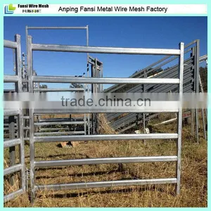 Galvanised 40x40 SHS RAIL Cattle Panel thumbnail-1