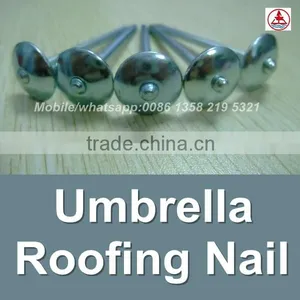 China 1 Lb. Electro Galvanized Umbrella Head Roofing Nails thumbnail-4