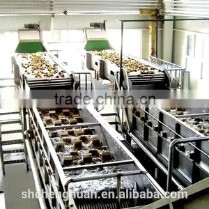 Auto-floating Washing Machine for Fruit and Vegetable thumbnail-2