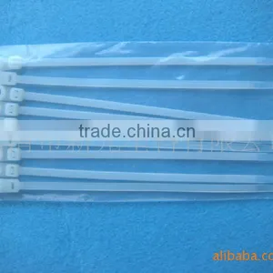 Directly Sales 4*150 Mountable Head Nylon Cable Ties Erosion Control (UL Certificate) thumbnail-1