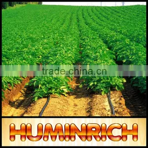 FAQ 12--Application Of Drip Irrigation Technique thumbnail-1