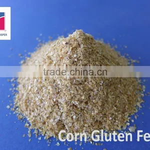 Contain Protein 18% Min Corn Gluten Feed thumbnail-1