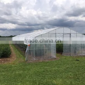 Tunnel Plastic Greenhouse thumbnail-1