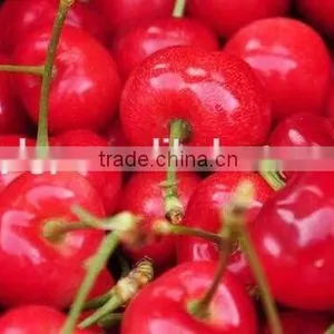 China Paper Bagged Fresh Cherries thumbnail-3