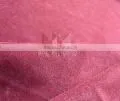 ALOBA thumbnail-1