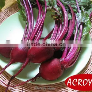 Canned Baby Beetroot Whole/Canned Food/Canned Vegetables thumbnail-1