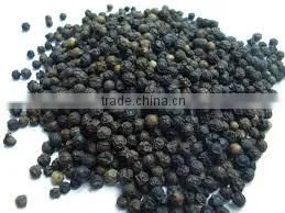 BLACK PEPPER thumbnail-1