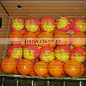 Fresh Navel Orange thumbnail-1