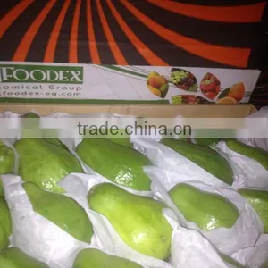 Low Price High Quality Of Egyptian Fresh Fruits Guava thumbnail-1