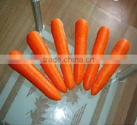 Low Price Fresh Carrot From China thumbnail-1