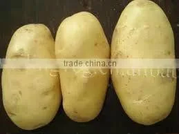 2016 China Fresh Potato thumbnail-5