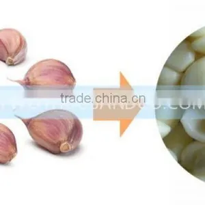 Garlic Dry Peeling Machine, Garlic-Peeling-Machine, Machine for Peeling Garlic With 150 KG/H thumbnail-4