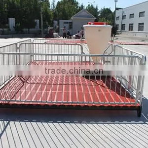 Poultry Feed Processing Equipment Stainless Steel Pigs Stall Nursery Crates thumbnail-3