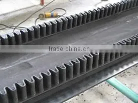 Nylon Conveyor Belt thumbnail-1