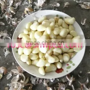 Stainless Steel Mini Garlic Peeler Machine/automatic Storing Garlic Peeling Machine thumbnail-5