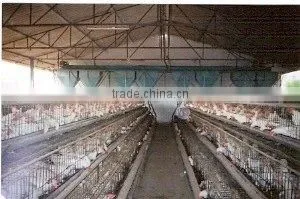 Hopper Feeding System thumbnail-1