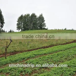 Drip Tape Irrigation Line 16mil Trickle Soaker Garden Hose Trickle Tape thumbnail-5