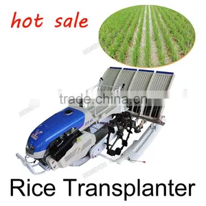 Machine Planter China Manual Machine Planter Walking Type Machine Planter 2ZS-4A thumbnail-1