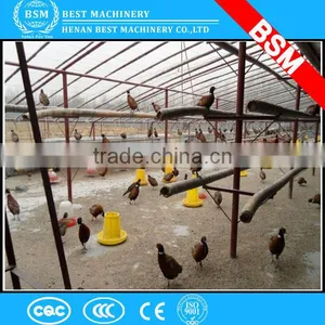 Plastic Automatic Chicken Waterer Feeder/feeders for Chicken/chicken Feeders and Drinkers thumbnail-2