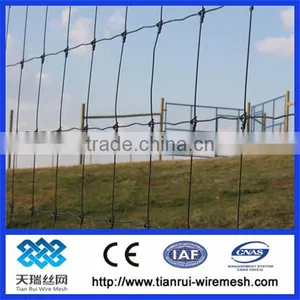 Factory Direct Sale Galvanized Field Fence thumbnail-1