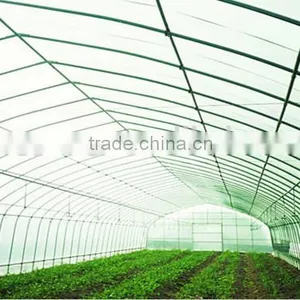Light Trap for Greenhouse thumbnail-2