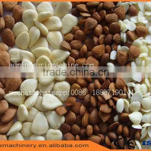 2016 Hot Sale Almond Apricot Sheller Shelling Cracking Machine on Sale thumbnail-6