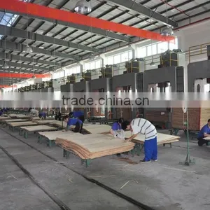 Standard/High Quality Plywood Production Line thumbnail-1