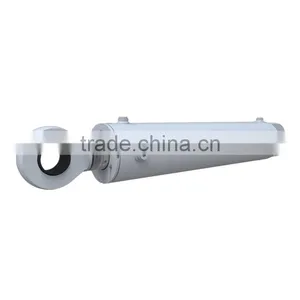 Cylinder for Harsh Marine Application thumbnail-2