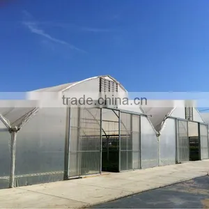 Multi Span Greenhouse /Agricultural Plastic Poly Film Greenhouse for Sale thumbnail-1