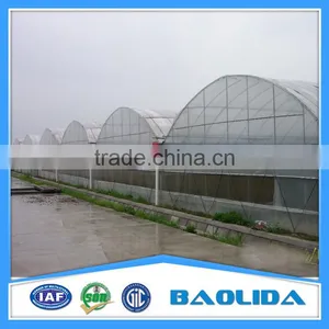 Multi Span Greenhouse /Invernadero For Vegetables thumbnail-2