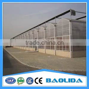 Multi Span Green Houses For Agriculture thumbnail-1