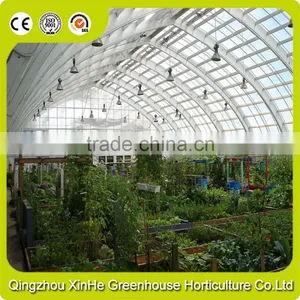 Cheapest Hot Sale Agricultural/Commercial Plastic Greenhouse thumbnail-1