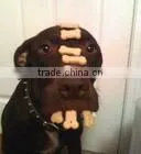 Automatic Pet Food Machine/plant/production Line Shery-0086-15553158922 thumbnail-6