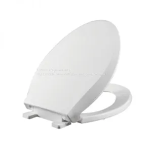 The Toilet Lid Thickens and the Toilet Seat Covers the Old Toilet Lid thumbnail-5
