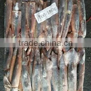 Sea Frozen Argentinus Illex Squid thumbnail-1