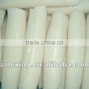Giant Squid Fillet thumbnail-1