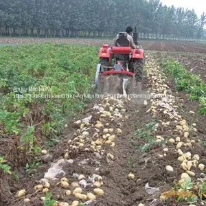 Potato Harvester thumbnail-1